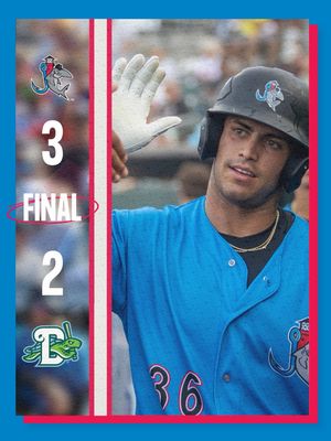 Image post by @gohammerheads on Instagram