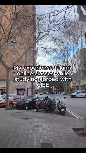 Image post by @cieestudyabroad on Instagram