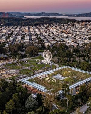 Image post by @onlyinsf on Instagram