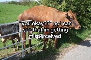 Video post by @moomoorevolution on TikTok