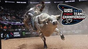 Video post by @pbr on YouTube