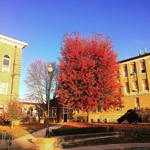 Image post by @westerniluniv on Instagram