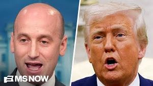 Video post by @msnbc on YouTube
