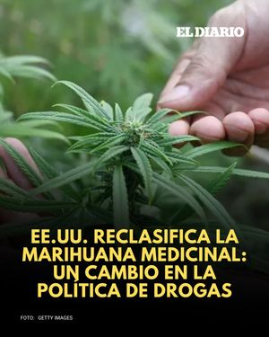 Image post by @eldiariony on Instagram