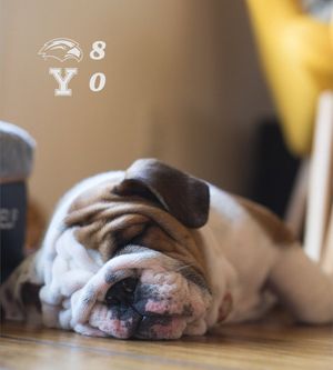 Image post by @SouthernMissSB on Twitter