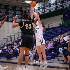 Image post by @plaidsheepcreative on Instagram