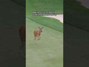 Video post by @LIV Golf on YouTube