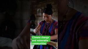 Video post by @greenpeace on YouTube