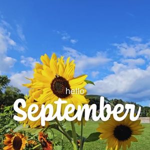 Image post by @tourlakecountyoh on Instagram