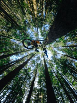 Image post by @gopro on Instagram