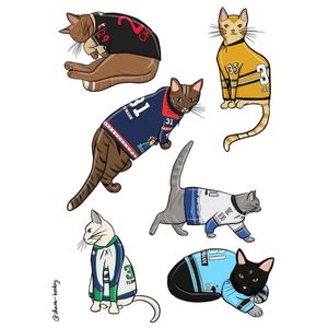 Image post by @premierhockeyfederation on Instagram