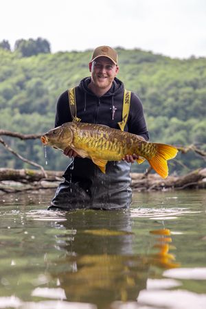 Image post by @brothercarp on Instagram