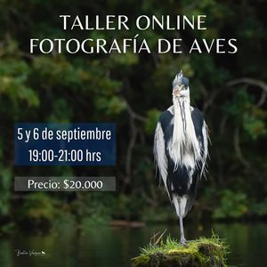 Image post by @fauna.patagonia on Facebook