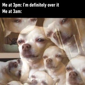 Image post by @9gag on Instagram