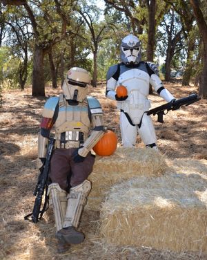 Image post by @official501st on Instagram