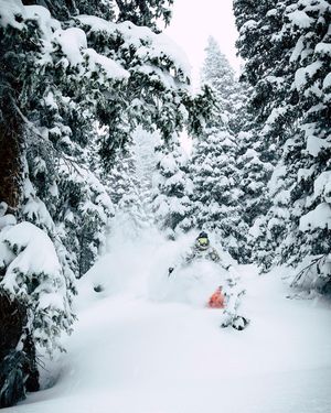 Image post by @chrislholder on Instagram