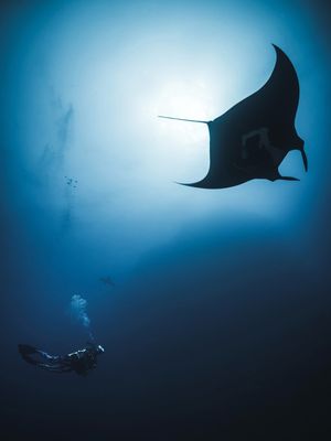 Image post by @discovery on Instagram