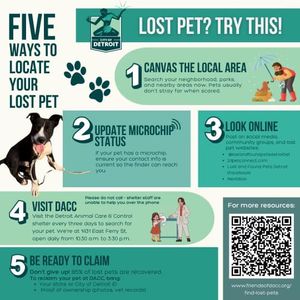 Image post by @DetroitGSD on Facebook