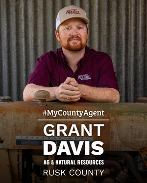 Image post by @txextension on Instagram