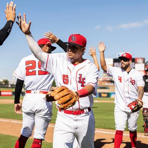 Image post by @louisvillebats on Instagram