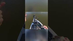 Video post by @lakeforkguy on YouTube