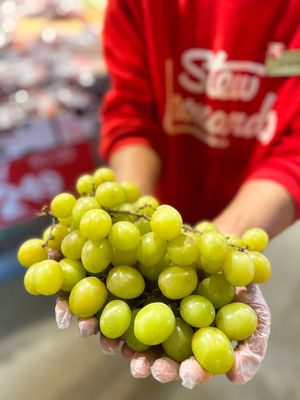 Image post by @stewleonards on Instagram