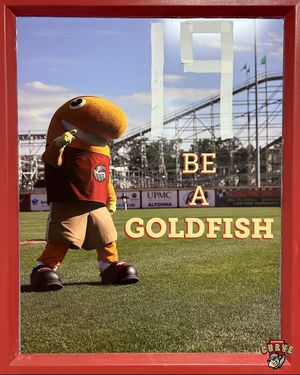 Image post by @altoonacurve on Instagram