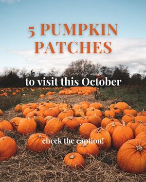 Image post by @irelandsancienteast on Instagram