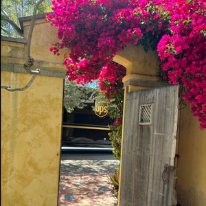 Image post by @ups on Instagram