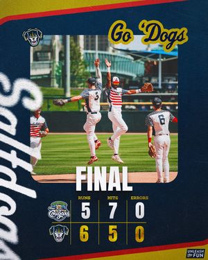 Image post by @saltdogsball on Instagram