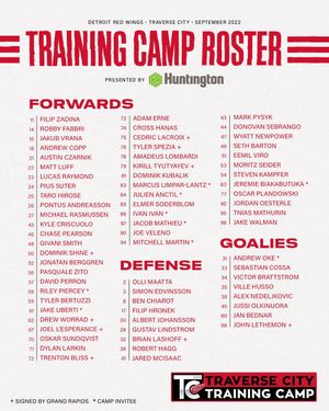 Image post by @detroitredwings on Instagram