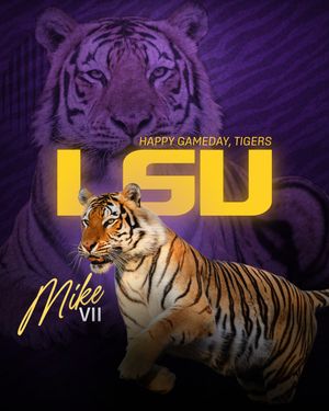 Image post by @lsu on Instagram