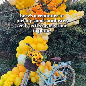 Image post by @balloonoccasions on Instagram