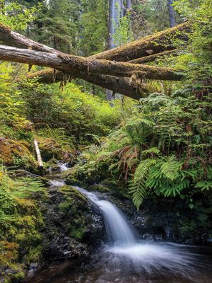 Image post by @nationalparktrust on Instagram