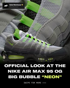 Image post by @soleretriever on Instagram