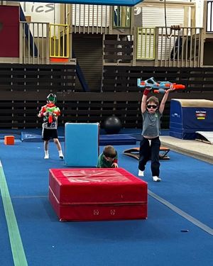 Image post by @TroyGymnastics on Facebook