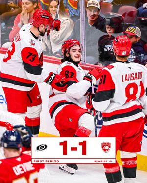 Image post by @Canes on Twitter/X