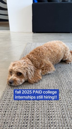 Video post by @homefromcollege on TikTok