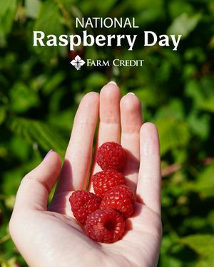 Image post by @farmcredit on Instagram