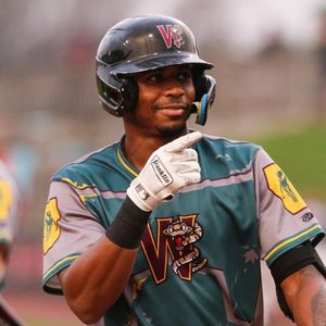 Image post by @witimberrattlers on Instagram