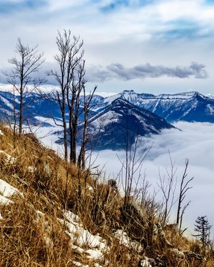Image post by @cristan.nature.photography on Instagram