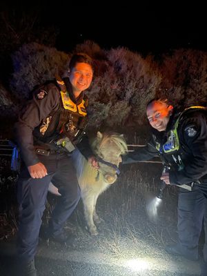 Image post by @victoriapolice on Instagram