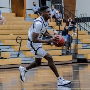 Image post by @GoPetrelsMBBall on Twitter