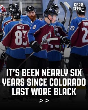 Image post by @geargeekhockey on Instagram