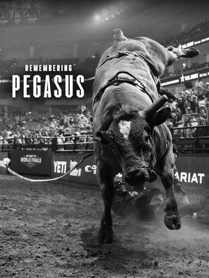 Image post by @pbr on Instagram