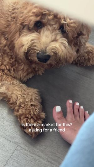 Video post by @tedflixnchill on TikTok