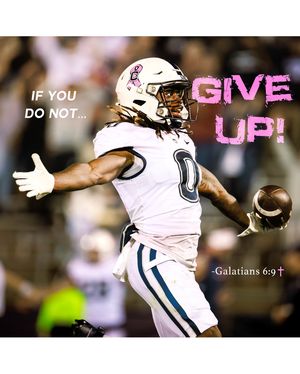 Image post by @kjflics on Instagram