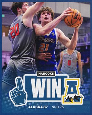 Image post by @nanooksmbb on Instagram