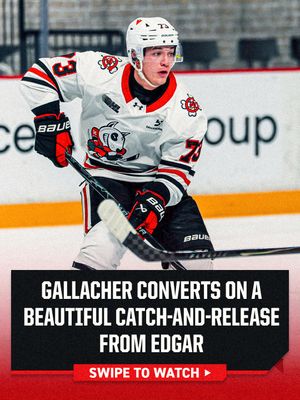 Image post by @ohlicedogs on Instagram