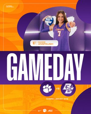 Image post by @clemsonvb on Instagram